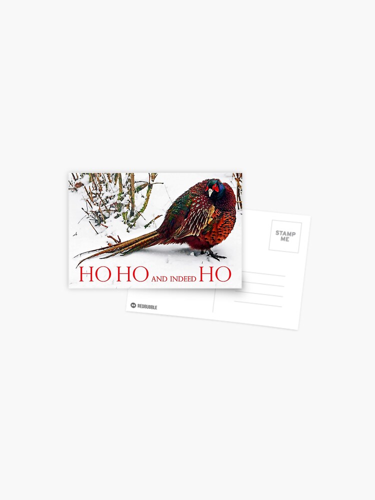 Thumbnail 1 of 2, Postcard, HO HO HO? Christmas 2022 - Grumpy Pheasant designed and sold by Coigach.