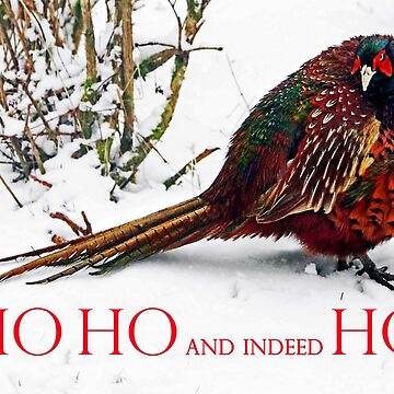 Artwork thumbnail, HO HO HO? Christmas 2022 - Grumpy Pheasant by Coigach