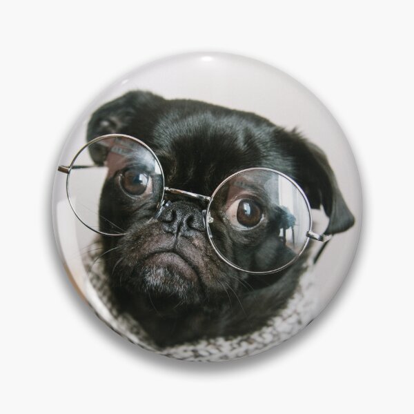Item preview, Big Glasses Smart Pug designed and sold by Alladin7.