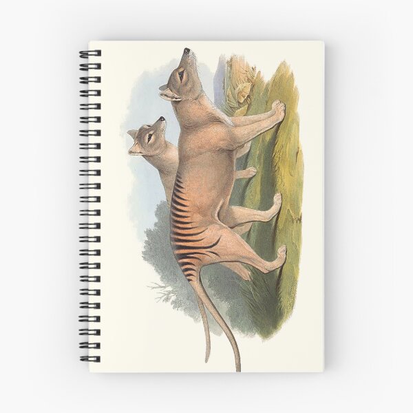 Item preview, Animals Of Australia The Tasmanian Tiger Or Thylacine designed and sold by JoolyA.