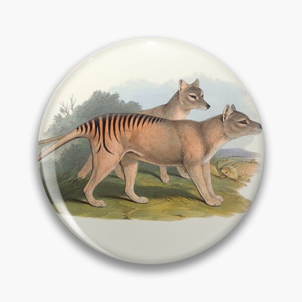 Item preview, Animals Of Australia The Tasmanian Tiger Or Thylacine designed and sold by JoolyA.