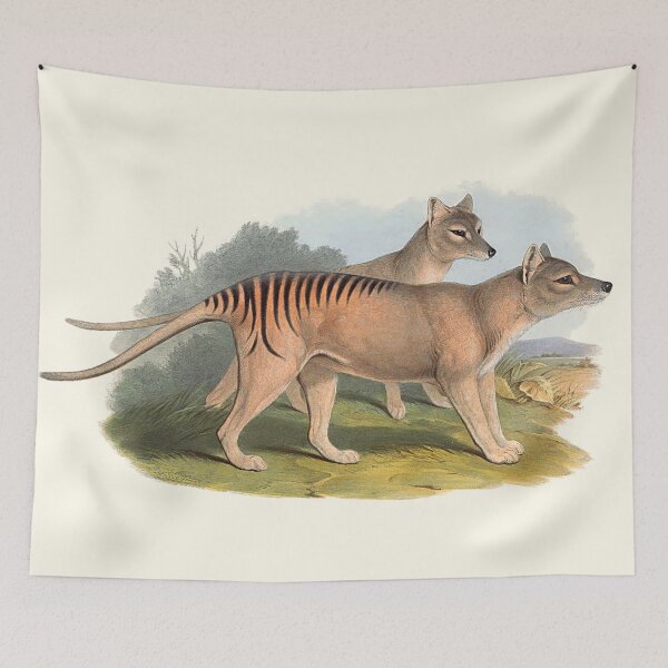 Item preview, Animals Of Australia The Tasmanian Tiger Or Thylacine designed and sold by JoolyA.