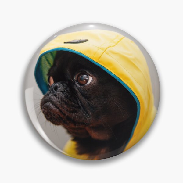 Item preview, Yellow Raincoat Pug Dog designed and sold by Alladin7.