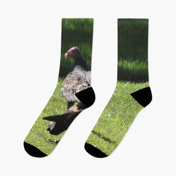 Item preview, Vultures in Canada designed and sold by ArtOfE.