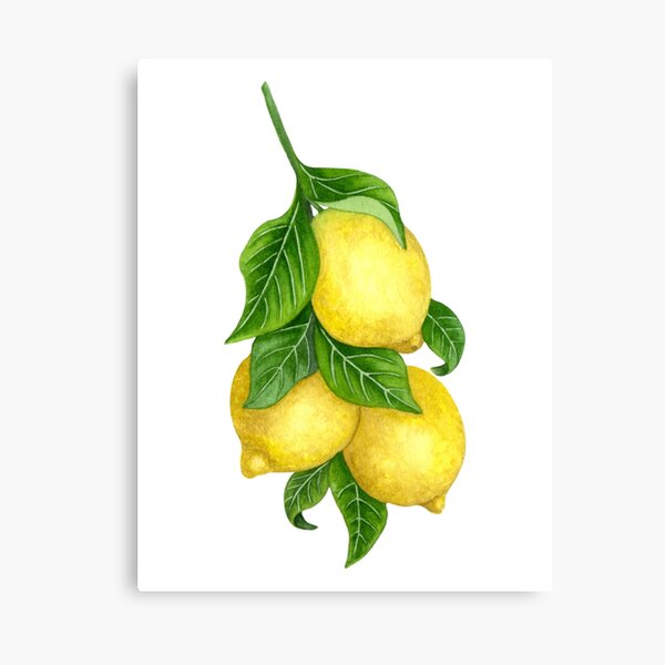 Item preview, Lemon Tree Watercolor designed and sold by barvart.