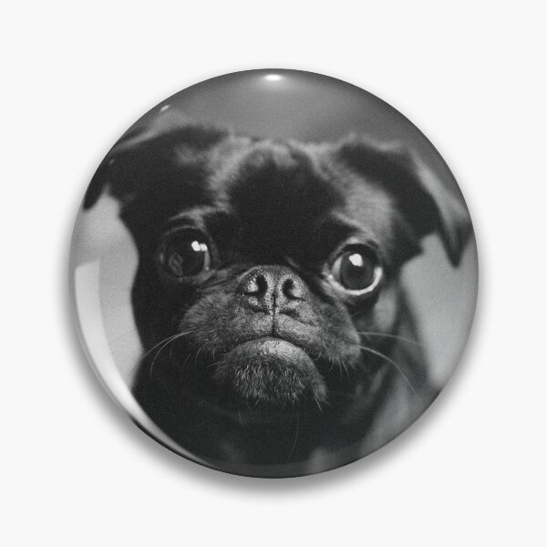 Item preview, Black and White Pug Canine Dog designed and sold by Alladin7.