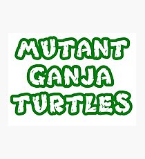 Mutant Ninja Turtles Weed Photographic Print