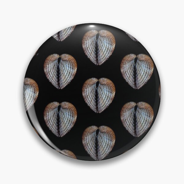 Item preview, Cockle Sea Shell. designed and sold by John Ray.