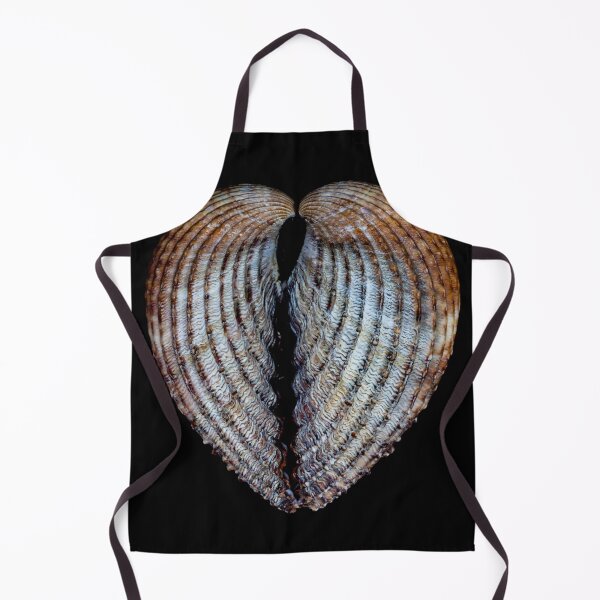 Item preview, Cockle Sea Shell. designed and sold by John Ray.
