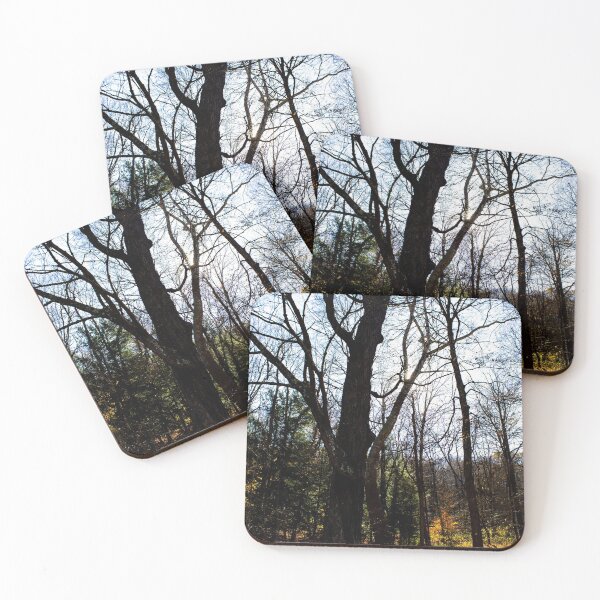 Item preview, Fall Woods designed and sold by KaitLouise.