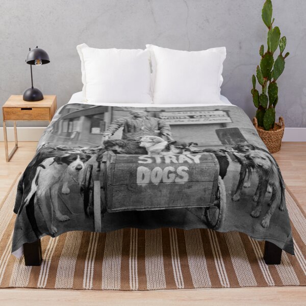 Item preview, Vintage dog cute photo Stray Dogs retro pet in love designed and sold by Coolstuff4you71.