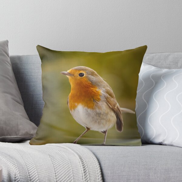 Robin Redbreast Dekokissen