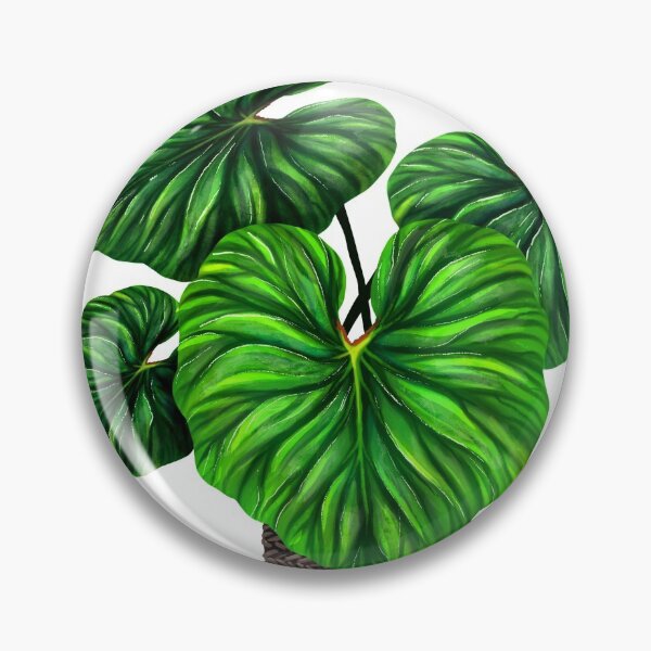 Item preview, Philodendron Plowmanii rare Plant Aroid designed and sold by Weolif.
