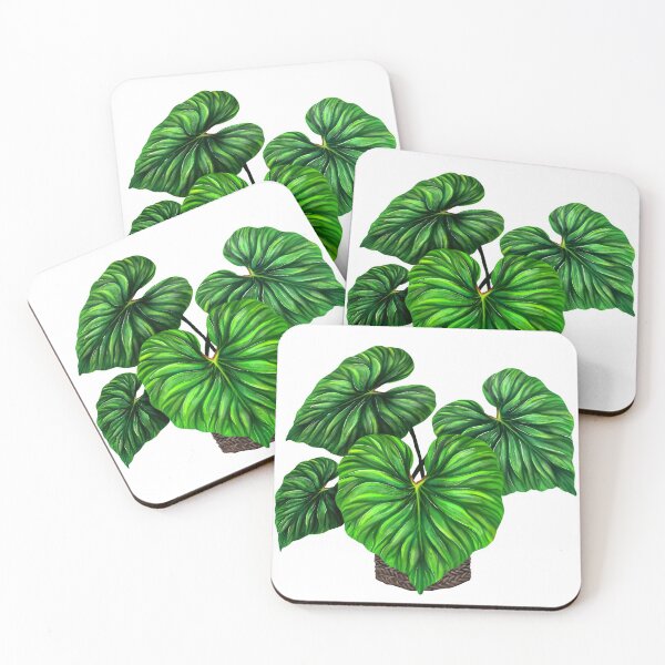 Item preview, Philodendron Plowmanii rare Plant Aroid designed and sold by Weolif.