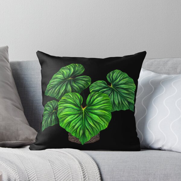 Item preview, Philodendron Plowmanii rare Plant Aroid designed and sold by Weolif.