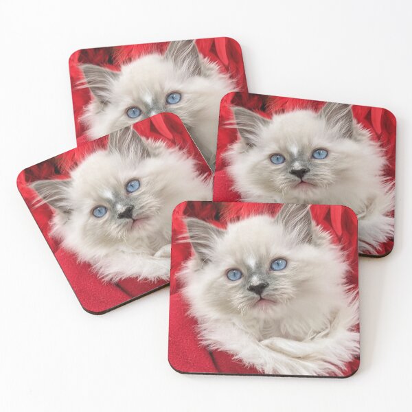 Item preview, Ragdoll kitten Santa baby designed and sold by Fluffycat2020.