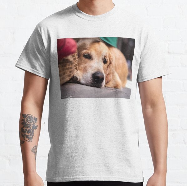 Dog's sorrow Classic T-Shirt
