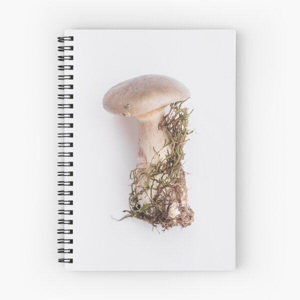 Item preview, Pretty Little Agaric designed and sold by CarnageC.