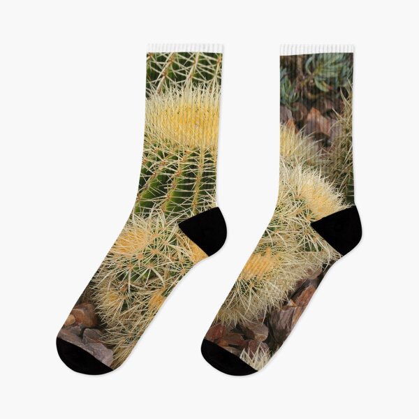 Item preview, Golden barrel cactus designed and sold by FranWest.