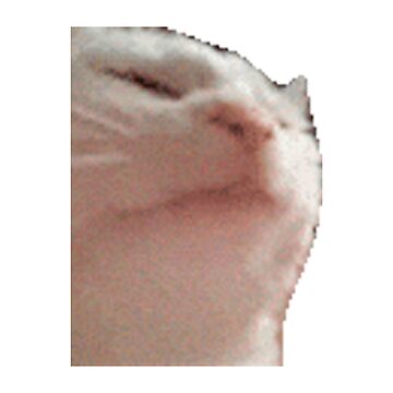 Vorschaubild zum Design Vibing-Katzen-Meme von Merch-On