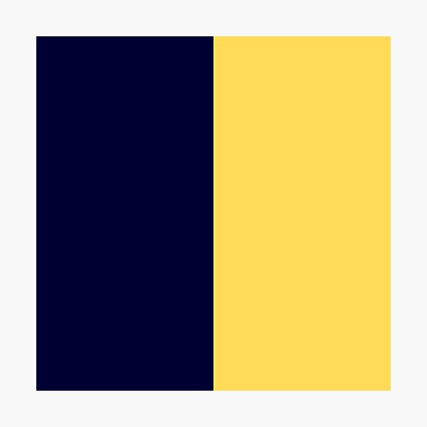 navy-blue-and-mustard-yellow-half-and-half-photographic-print-for