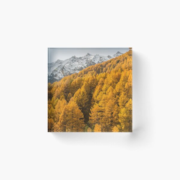 Item preview, Saas Fee Golden autumn in the Valais landscape designed and sold by seunglee.