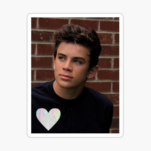 Hayes Grier- trippy heart Sticker