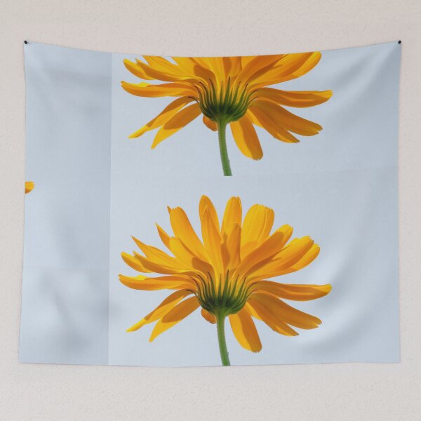 Item preview, Dandelion designed and sold by MrCreatix.