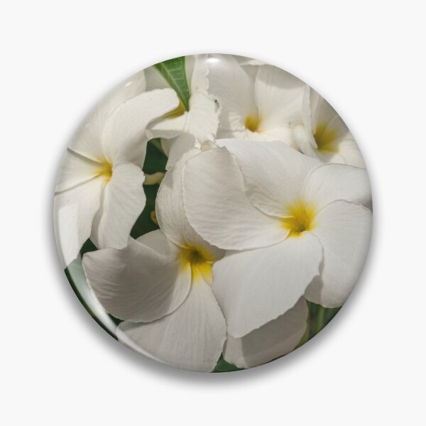Item preview, Plumeria pudica white flowers designed and sold by Martin Leber.