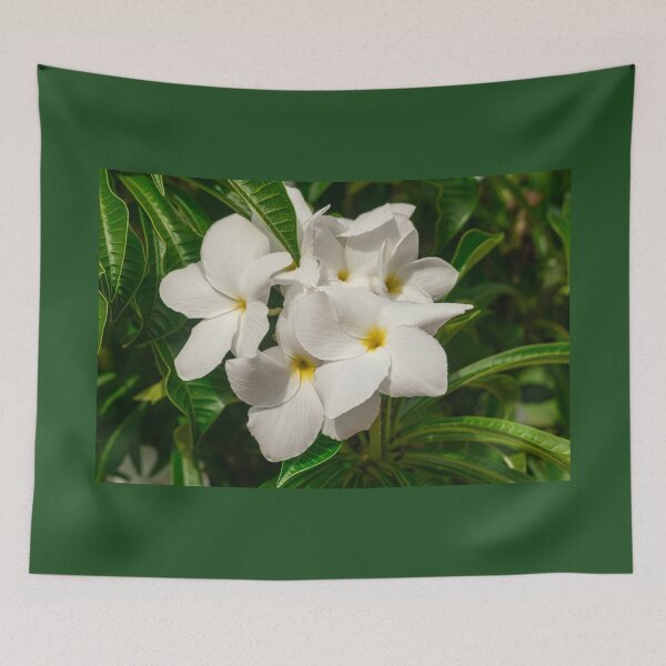 Item preview, Plumeria pudica white flowers designed and sold by Martin Leber.