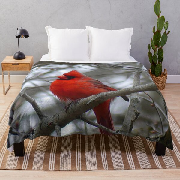 Item preview, Winter Cardinal Photography Art Beautiful Heaven Sent Messenger Male Red Cardinal designed and sold by tamdevo1.