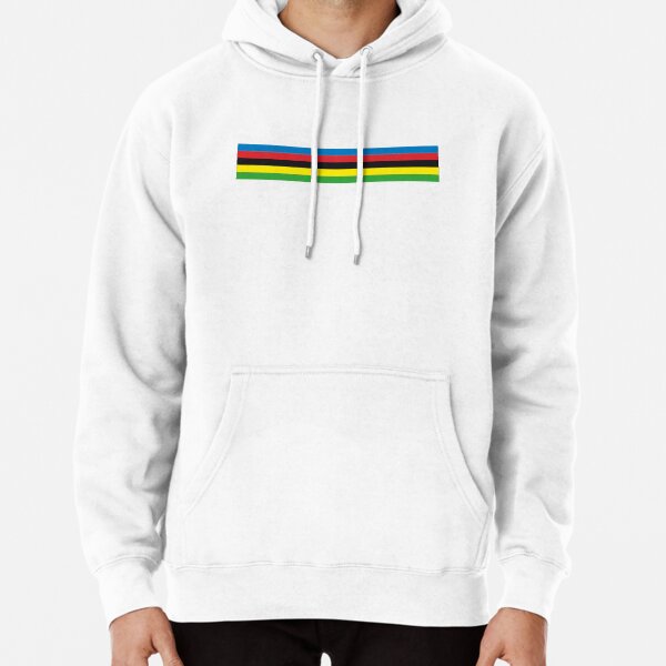 uci hoodie champion