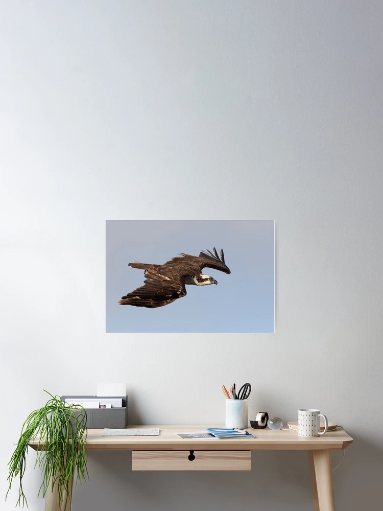 Thumbnail 2 of 3, Poster, Speed designed and sold by WorldDesign.