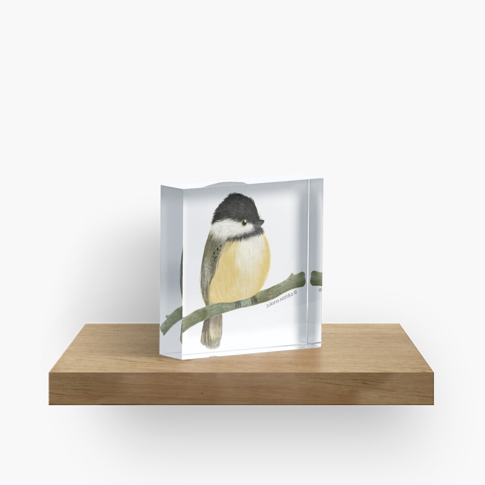 Black capped chickadee bird Acrylic Block