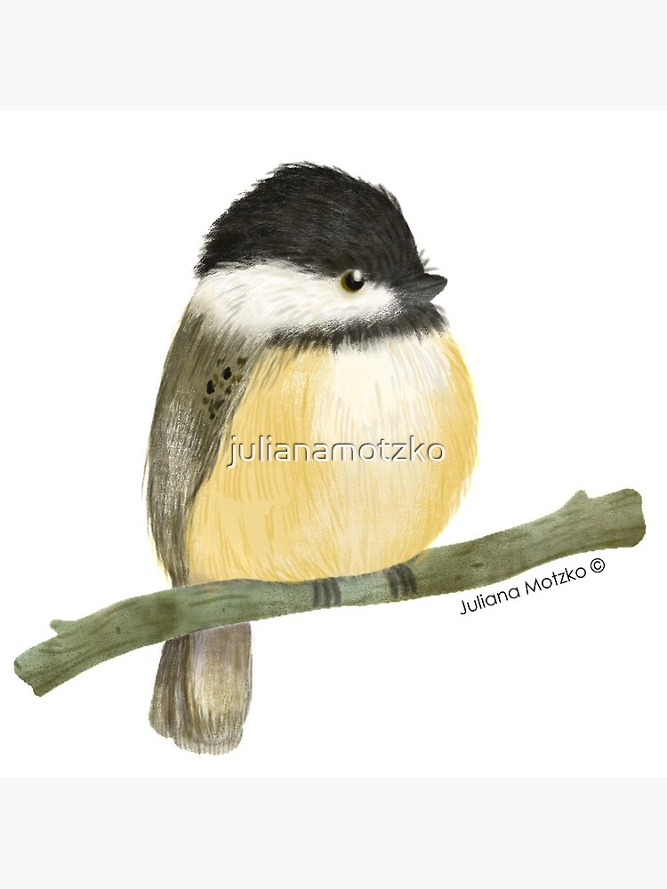 Black capped chickadee bird by julianamotzko