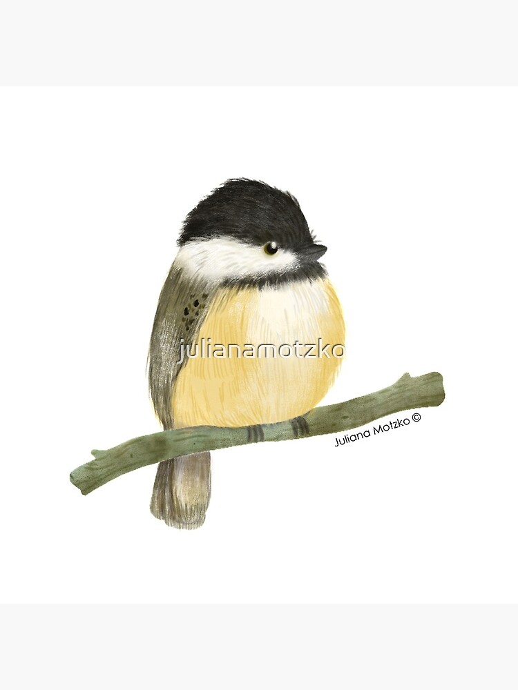 Black capped chickadee bird by julianamotzko