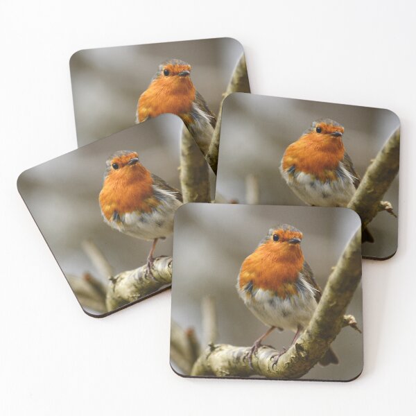 Item preview, the little robin wanderer designed and sold by JoeEJackson.