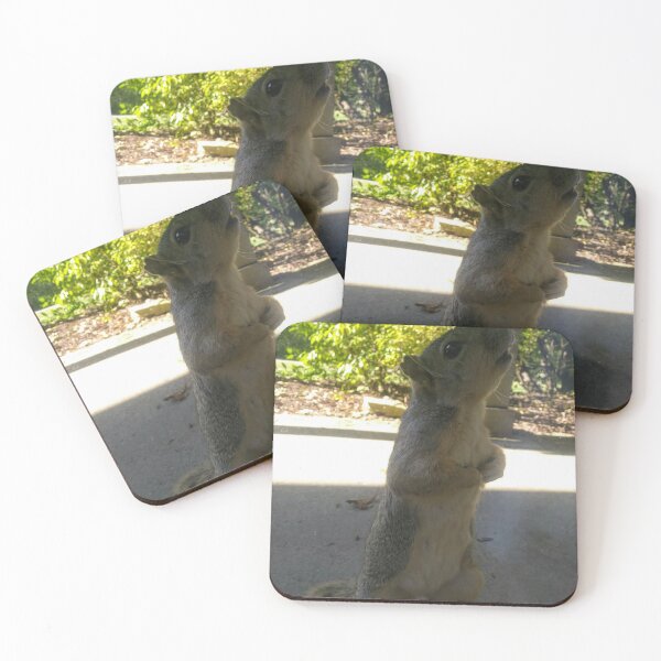 Item preview, Squirrel Friend Looking Up designed and sold by NathanMoore92.