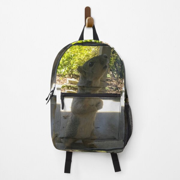 Item preview, Squirrel Friend Looking Up designed and sold by NathanMoore92.