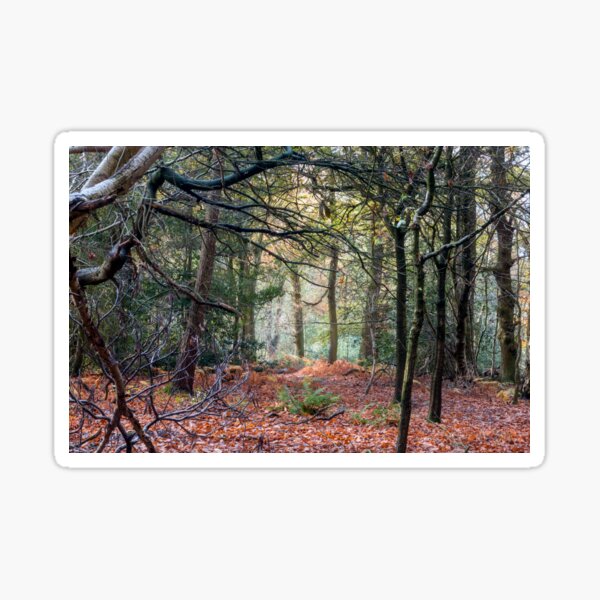Item preview, Autumn In The Woods designed and sold by DougieHaworth.
