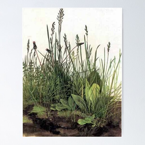 Item preview, The Great (Large) Piece of Turf - Albrecht Durer Classic Famous Art designed and sold by jfreedom.