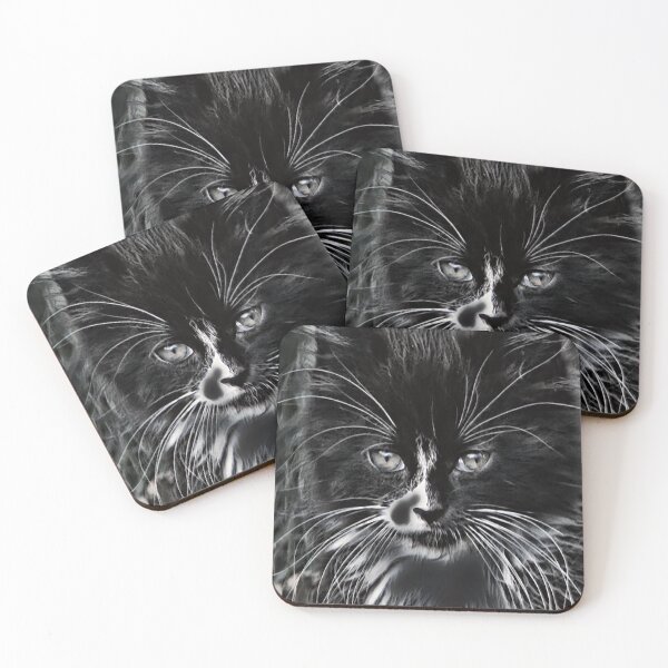 Item preview, Chaton d'ombre designed and sold by DonnaM.