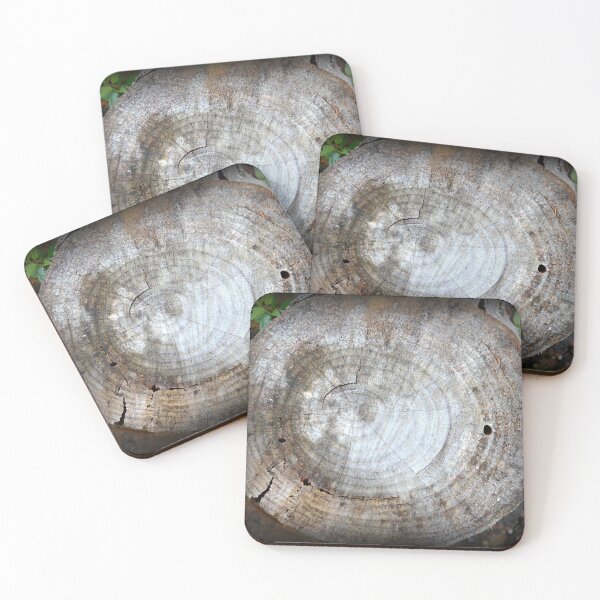 Item preview, Tree Stump designed and sold by BattleMountain.