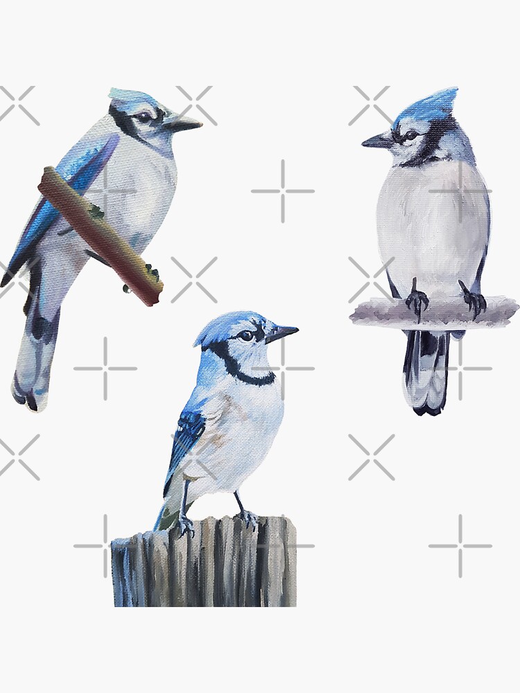"Blue Jays Sticker Set" Sticker for Sale by EmilyBickell Redbubble