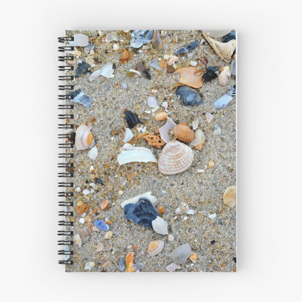 Item preview, Seashells designed and sold by BattleMountain.