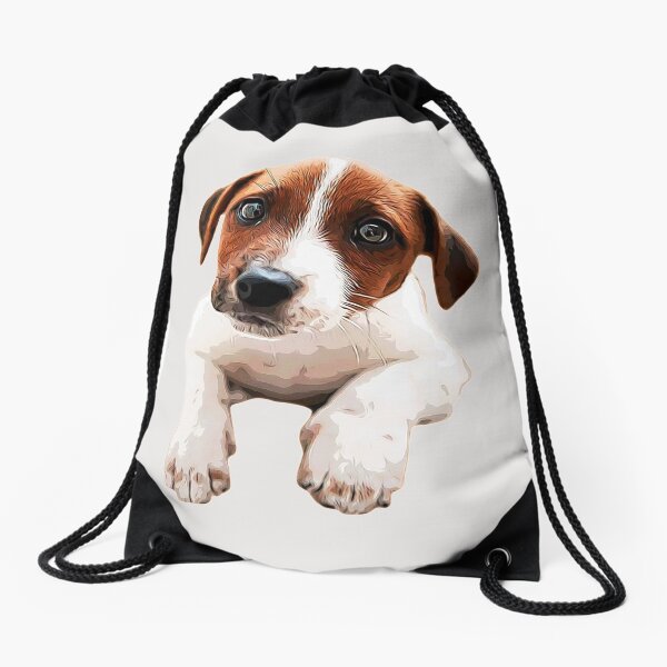 jack russell backpack