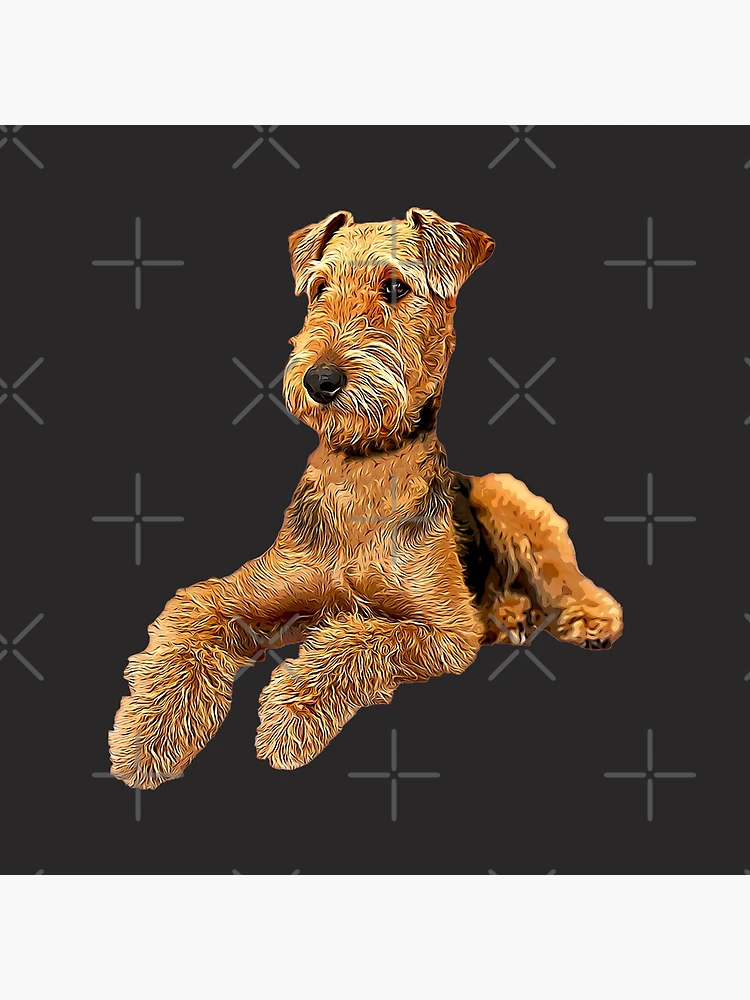 Airedale terrier plush toy online