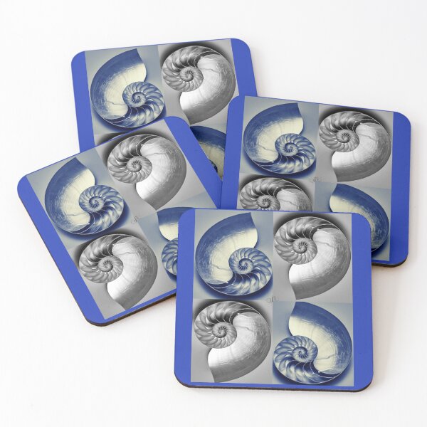 Item preview, Coiled designed and sold by LibrosBOOKtique.