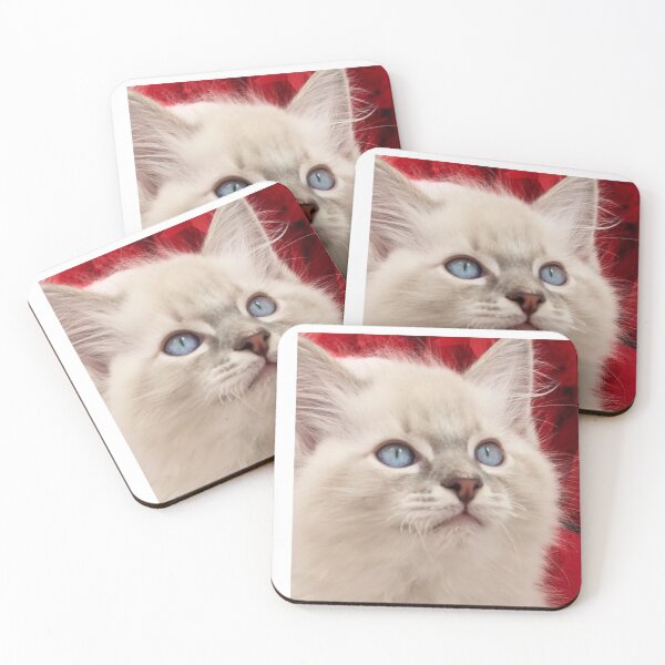 Item preview, Ragdoll kitten Christmas  designed and sold by Fluffycat2020.