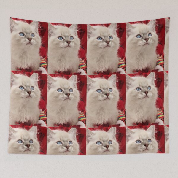 Item preview, Ragdoll kitten Christmas  designed and sold by Fluffycat2020.